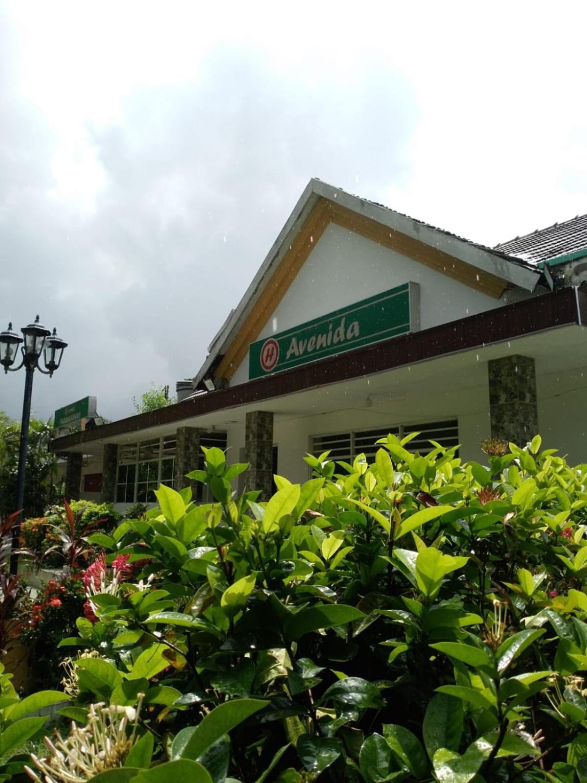 Hotel Avenida53 바랑키야 외부 사진